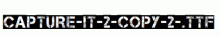 Capture-it-2-copy-2-.ttf
