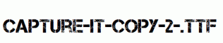 Capture-it-copy-2-.ttf