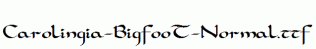Carolingia-BigfooT-Normal.ttf