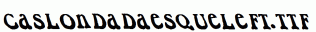 CaslonDadaesqueLeft.ttf