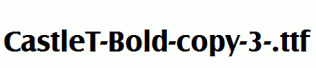 CastleT-Bold-copy-3-.ttf