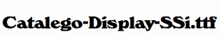Catalego-Display-SSi.ttf