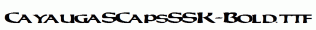 CayaugaSCapsSSK-Bold.ttf