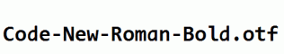 Code-New-Roman-Bold.otf