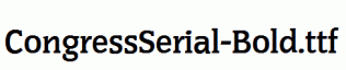 CongressSerial-Bold.ttf