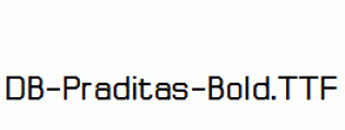 DB-Praditas-Bold.ttf