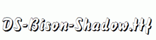 DS-Bison-Shadow.ttf