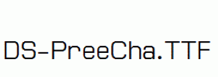 DS-PreeCha.ttf