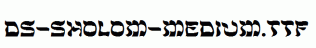 DS-Sholom-Medium.ttf