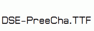 DSE-PreeCha.ttf