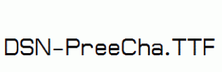 DSN-PreeCha.ttf