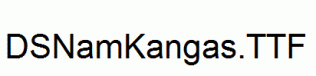 DSNamKangas.ttf