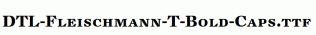 DTL-Fleischmann-T-Bold-Caps.ttf