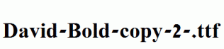 David-Bold-copy-2-.ttf