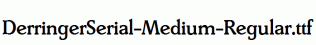 DerringerSerial-Medium-Regular.ttf