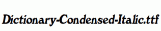 Dictionary-Condensed-Italic.ttf