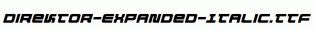 Direktor-Expanded-Italic.ttf
