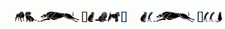 Dogs-and-Cats.ttf