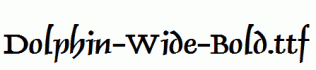 Dolphin-Wide-Bold.ttf