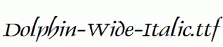 Dolphin-Wide-Italic.ttf