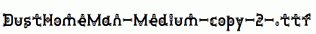 DustHomeMan-Medium-copy-2-.ttf