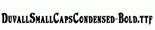 DuvallSmallCapsCondensed-Bold.ttf