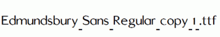 Edmundsbury-Sans-Regular-copy-1-.ttf