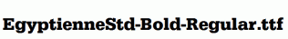 EgyptienneStd-Bold-Regular.ttf