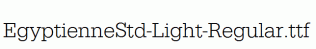 EgyptienneStd-Light-Regular.ttf