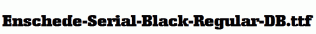 Enschede-Serial-Black-Regular-DB.ttf