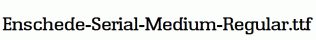 Enschede-Serial-Medium-Regular.ttf