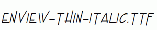 Enview-Thin-Italic.ttf