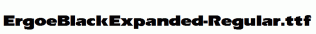 ErgoeBlackExpanded-Regular.ttf