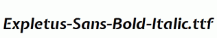 Expletus-Sans-Bold-Italic.ttf