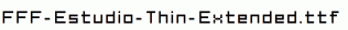 FFF-Estudio-Thin-Extended.ttf