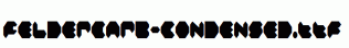 Feldercarb-Condensed.ttf