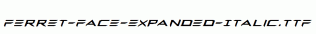 Ferret-Face-Expanded-Italic.ttf