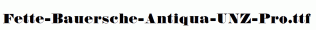 Fette-Bauersche-Antiqua-UNZ-Pro.ttf