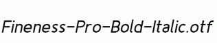 Fineness-Pro-Bold-Italic.otf