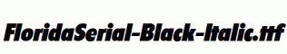 FloridaSerial-Black-Italic.ttf