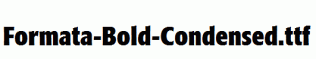 Formata-Bold-Condensed.ttf