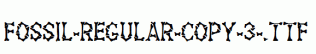 Fossil-Regular-copy-3-.ttf