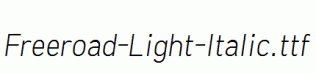 Freeroad-Light-Italic.ttf