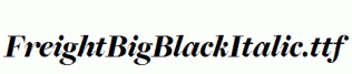 FreightBigBlackItalic.ttf
