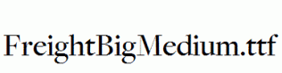 FreightBigMedium.ttf