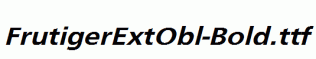 FrutigerExtObl-Bold.ttf