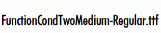 FunctionCondTwoMedium-Regular.ttf