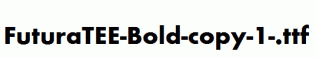 FuturaTEE-Bold-copy-1-.ttf