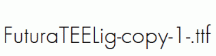 FuturaTEELig-copy-1-.ttf