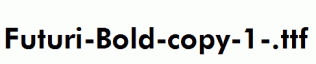 Futuri-Bold-copy-1-.ttf